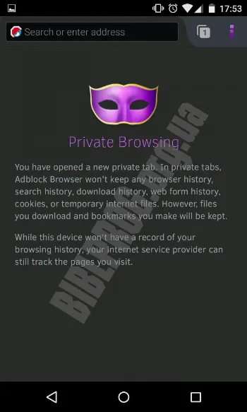 Скриншот Adblock Browser 1