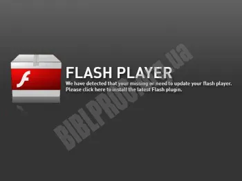 Скриншот Adobe Flash Player 1