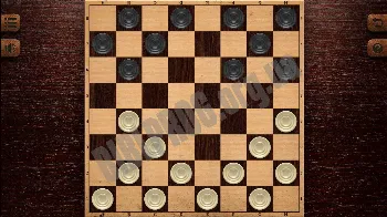 Скриншот Checkers Elite 2