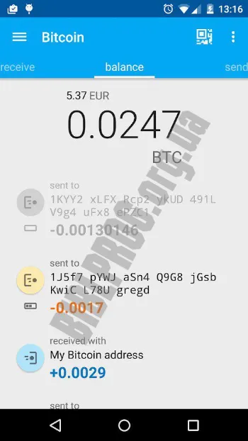 Скриншот Coinomi Wallet 2