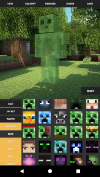 Custom Skin Creator
