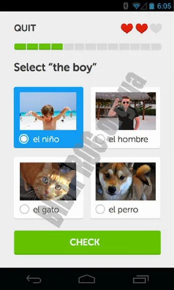 Скриншот Duolingo 3