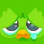 Duolingo