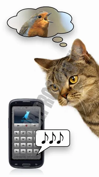 Скриншот Human-to-Cat Translator 3