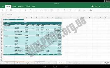 Скриншот Excel 1