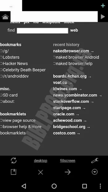 Скриншот Naked Browser 1