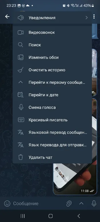 Скриншот RitMGram 3