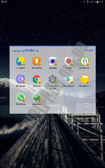 Скриншот Samsung My Knox 1