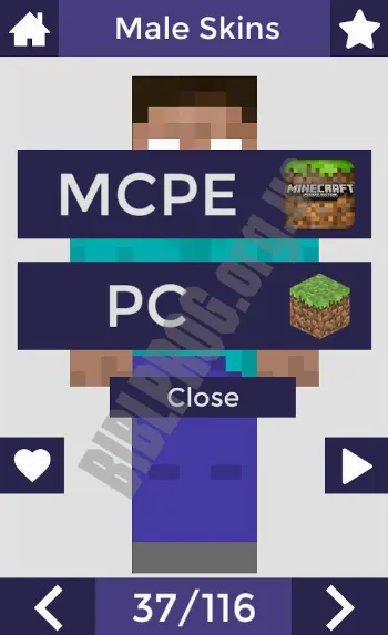 Скриншот Skins for Minecraft PE 1