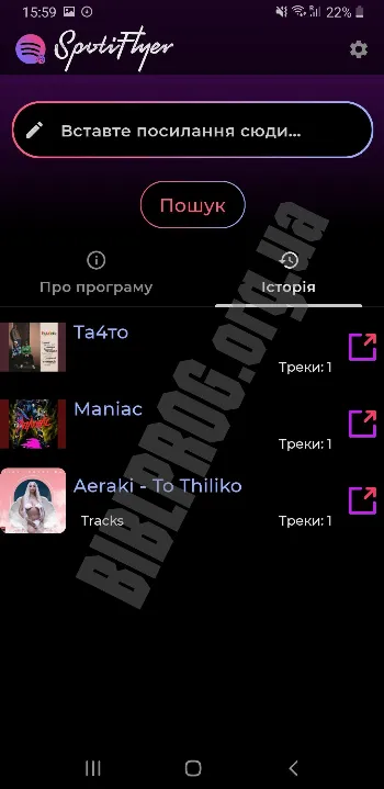 Скриншот Spotiflyer 3