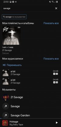 VK X