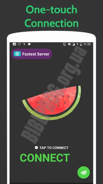 Скриншот VPN Melon 1